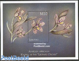 orchids s/s, Ansella africana