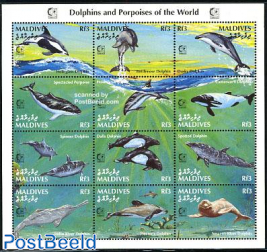 Dolpins and Porpoises 12v m/s