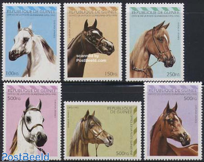 Arab horses 6v