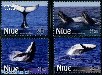 Whale watching 4v